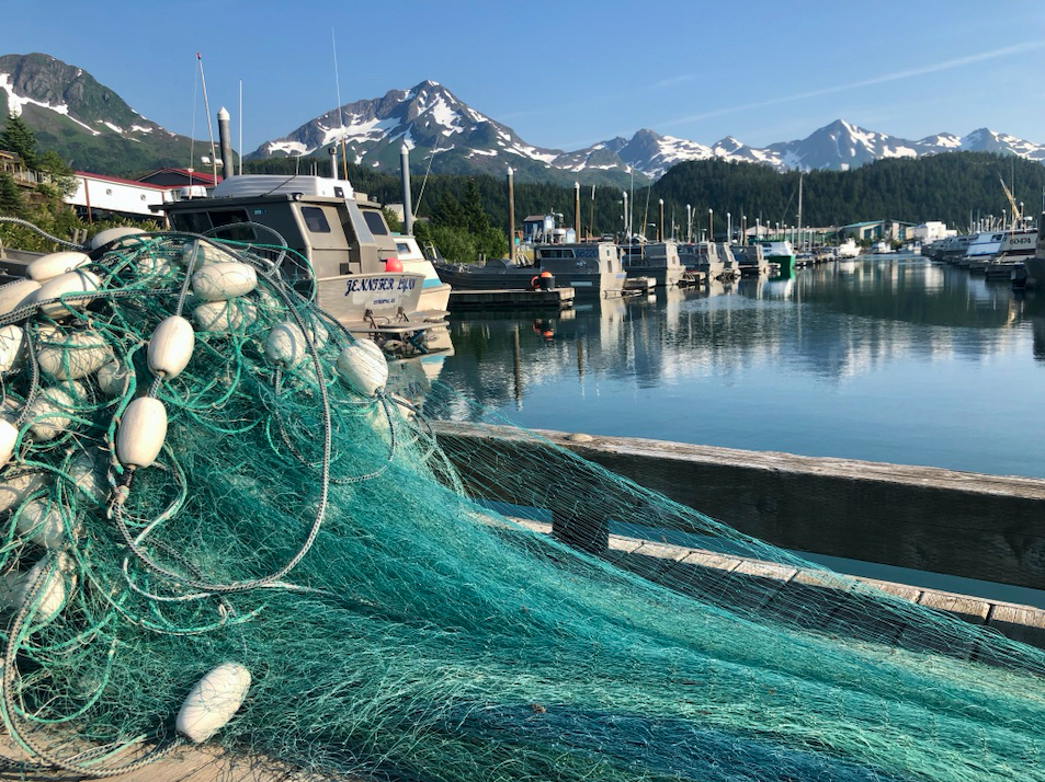 Copper River Coho Salmon Chop