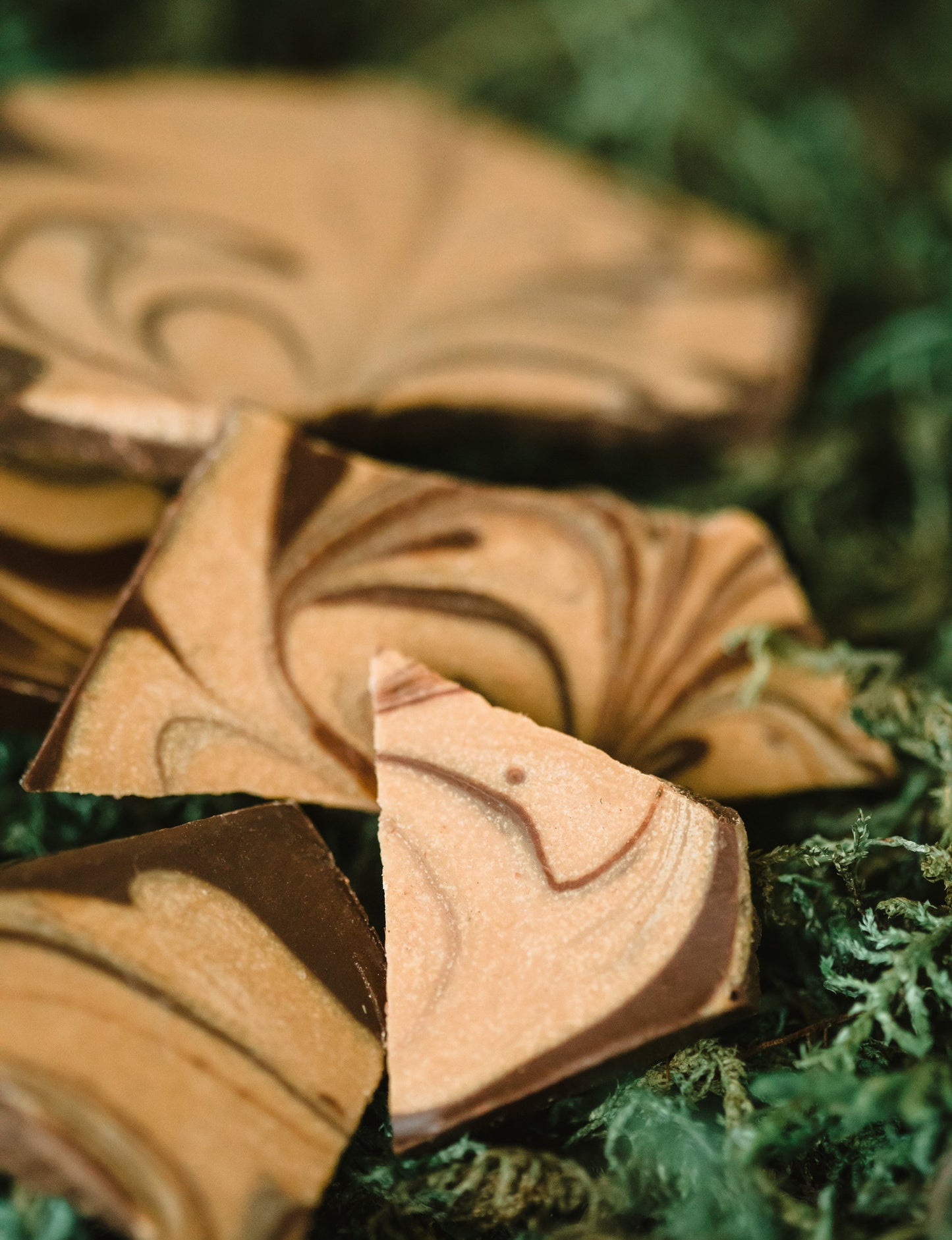 Maple Mushroom