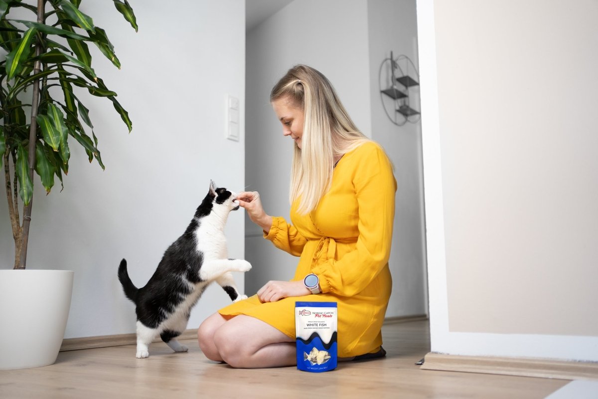 Freeze Dried Salmon Pet Treats
