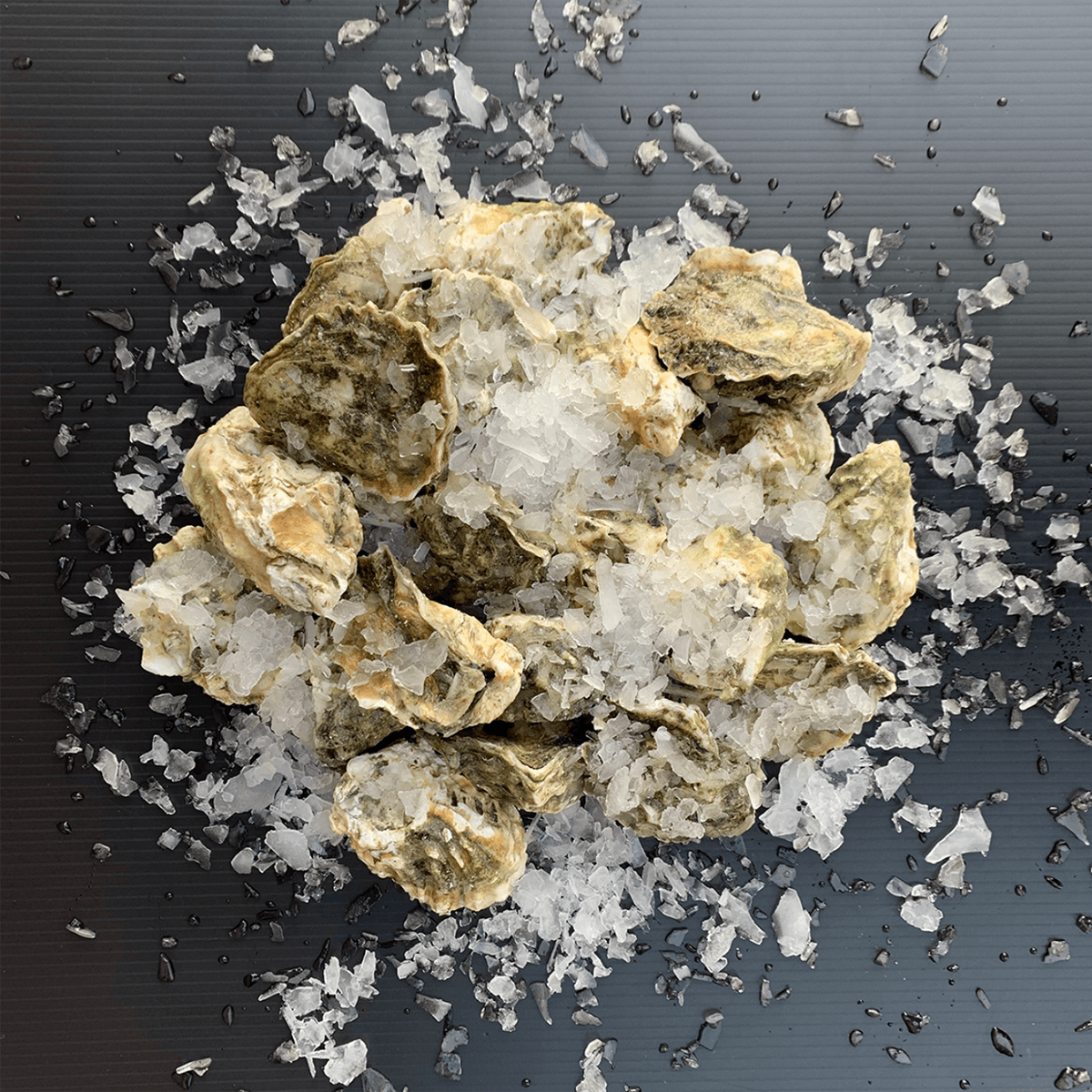 Kumamoto Oysters, Washington - 60 Count