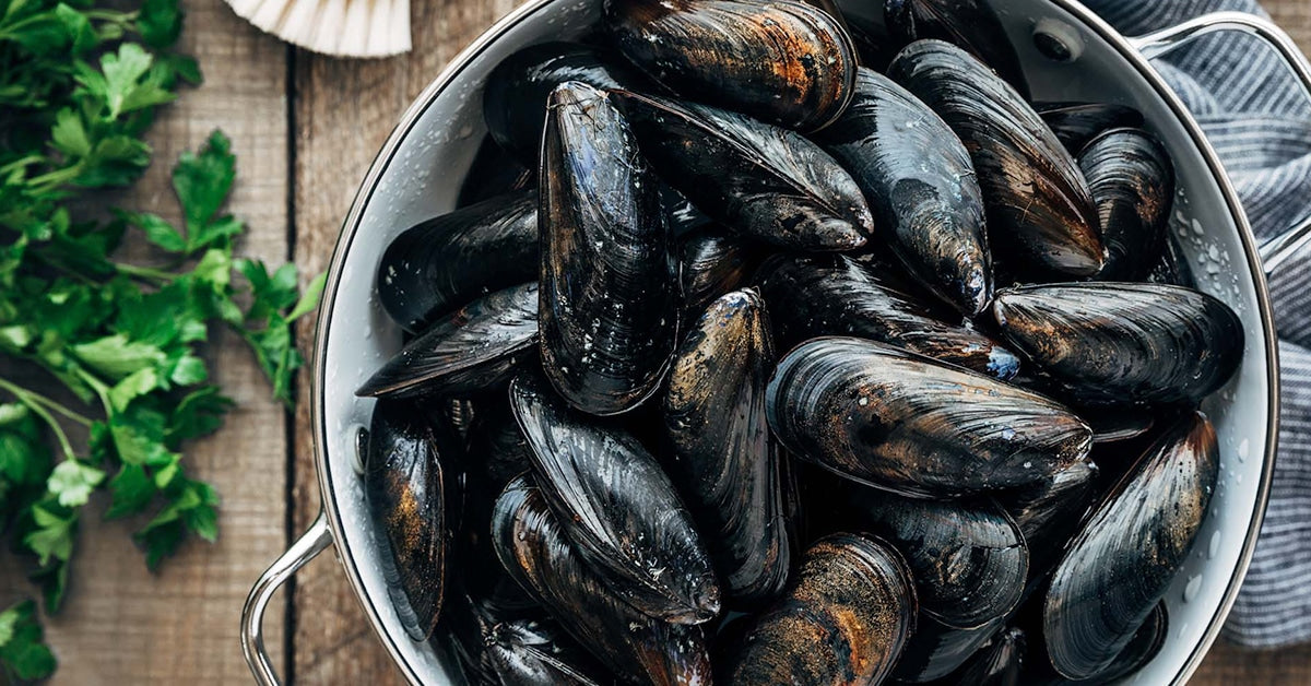 Hollander Mussels, Maine - 10 Pound Bag