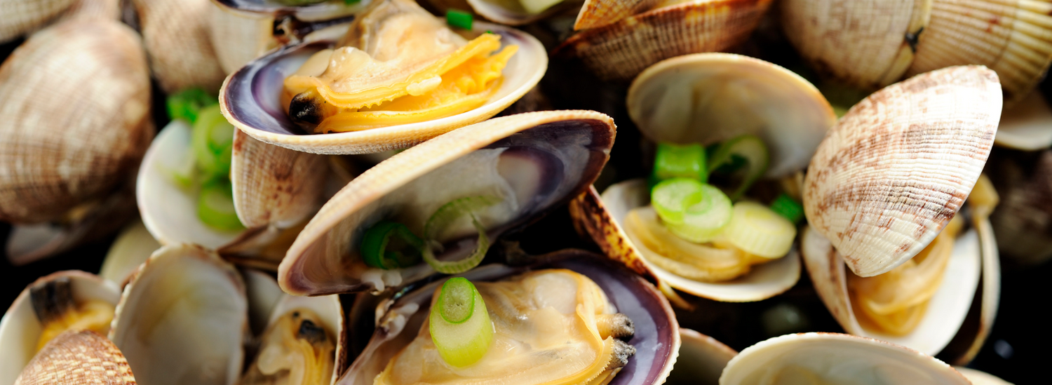 Clams