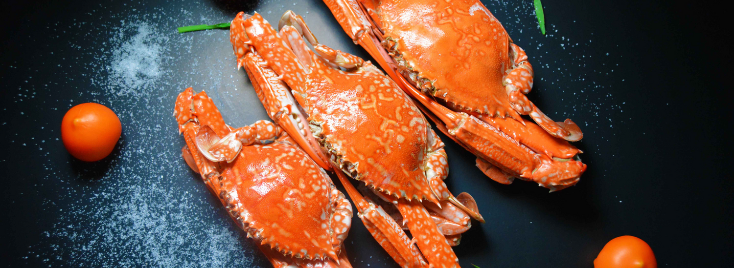Crab