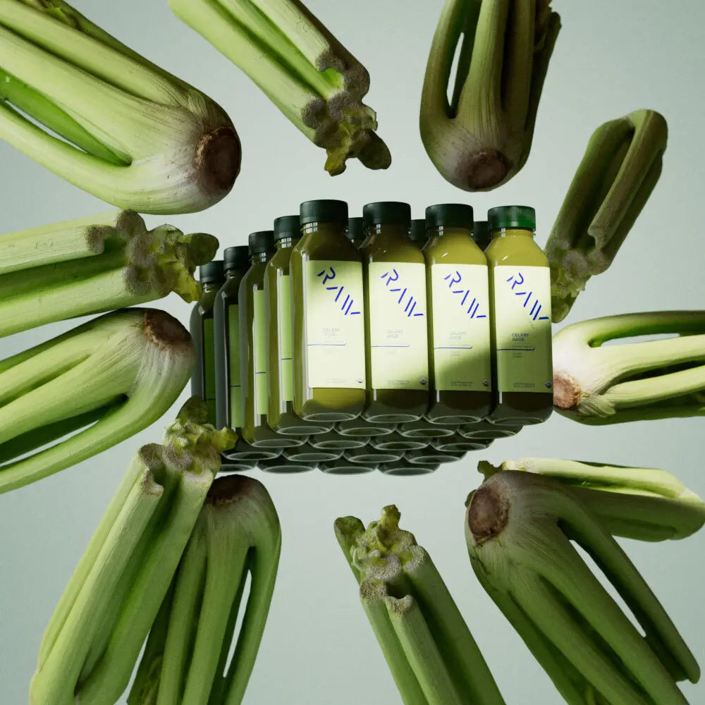 CELERY KIT
