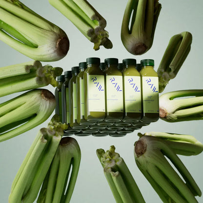 CELERY KIT
