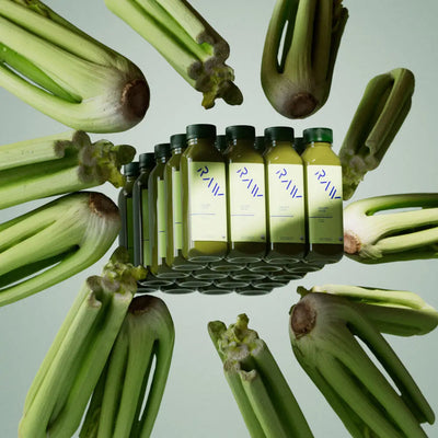 CELERY KIT