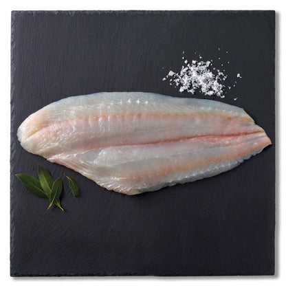 Sushi Fluke, Fillet, Fresh, Wild Caught
