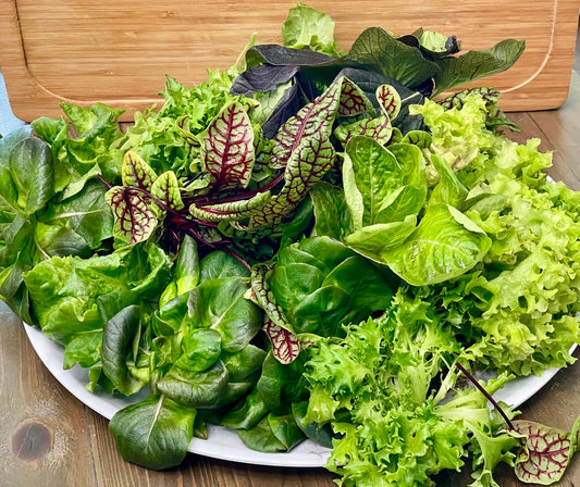 Organic Mixed Baby Lettuce Heads