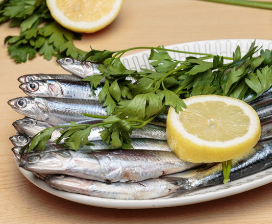 Anchovies, Spain, Wild Caught