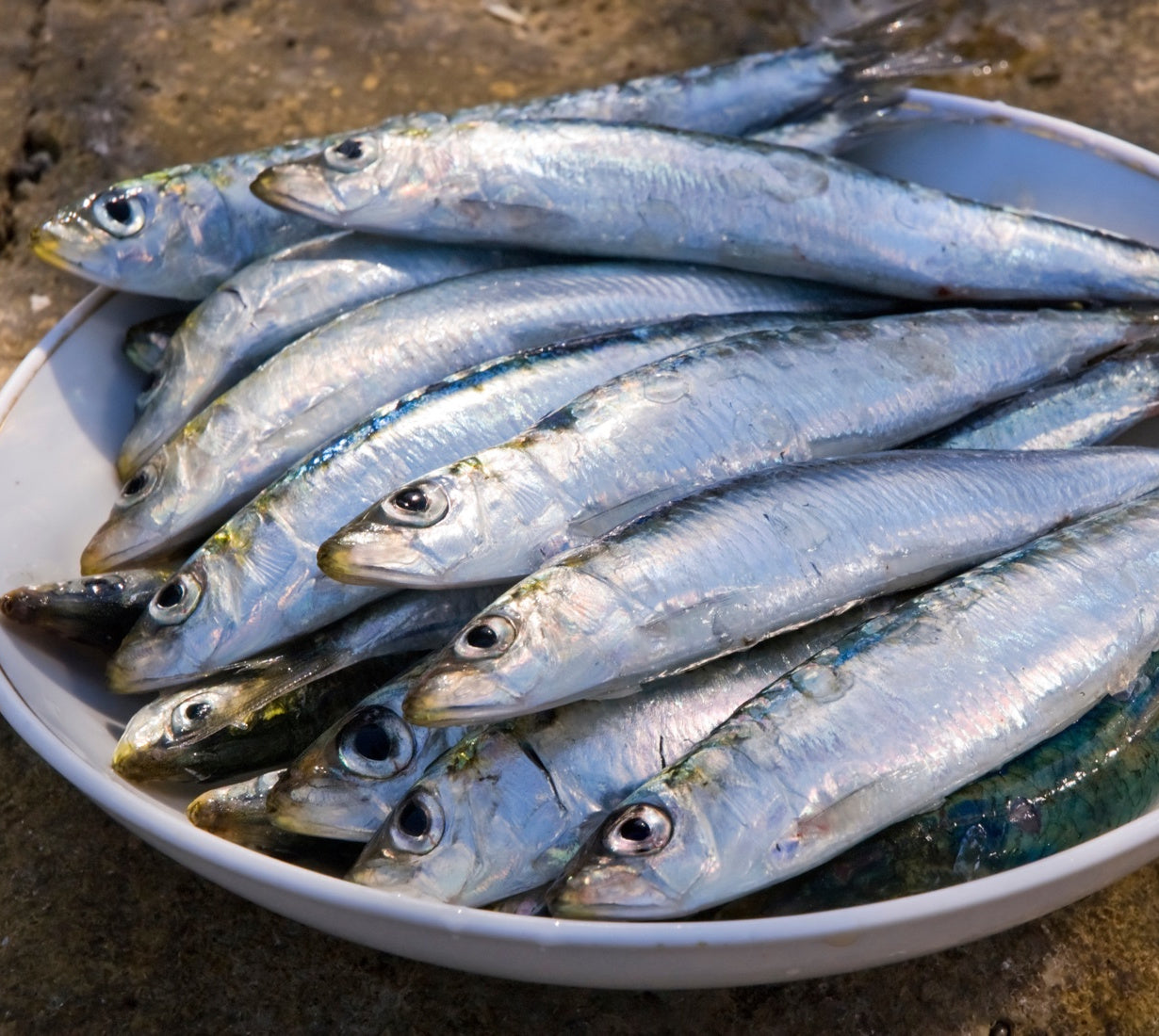 Anchovies, Spain, Wild Caught