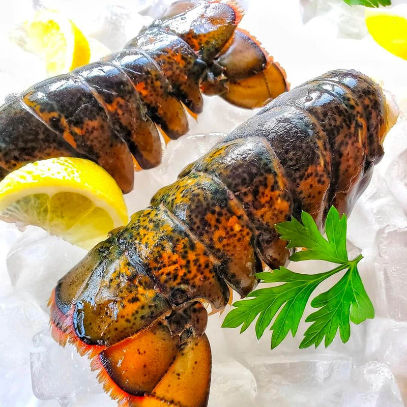 Maine Lobster Tails, 4/5 OZ Each - Gilt City / Rue La La