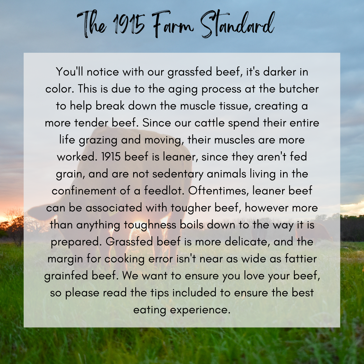 Whole & Half (Side) of Grassfed Beef - Limited Time Only!