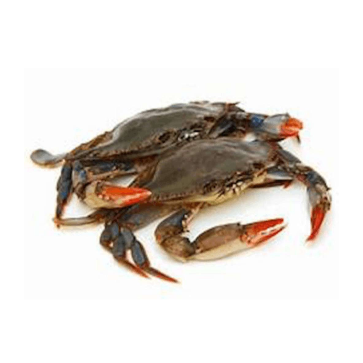 Maryland Soft Shell Crabs, Jumbo, Fresh, Cleaned,6pc