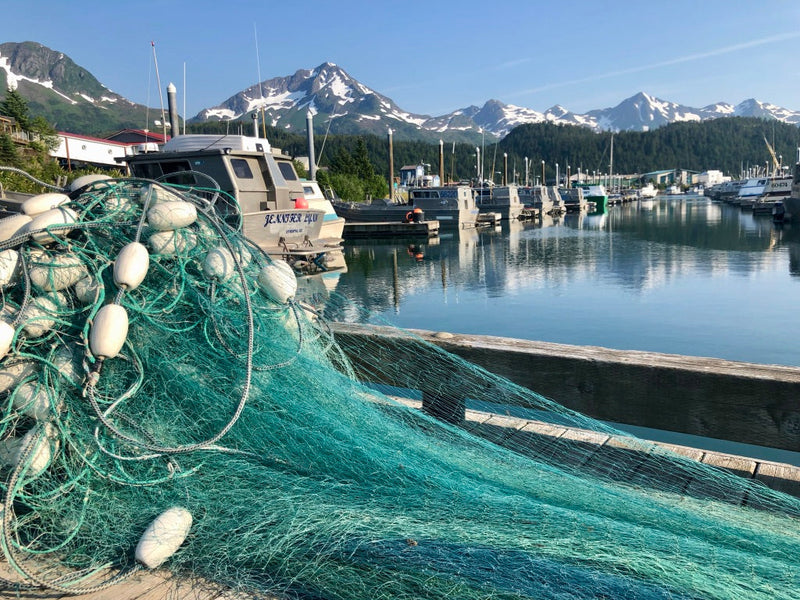 Seasonal Variety Chop (salmon only)