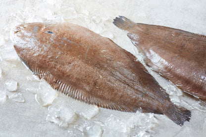 Dover Sole, Fresh, Holland, Wild Caught,  1 Lb Ea