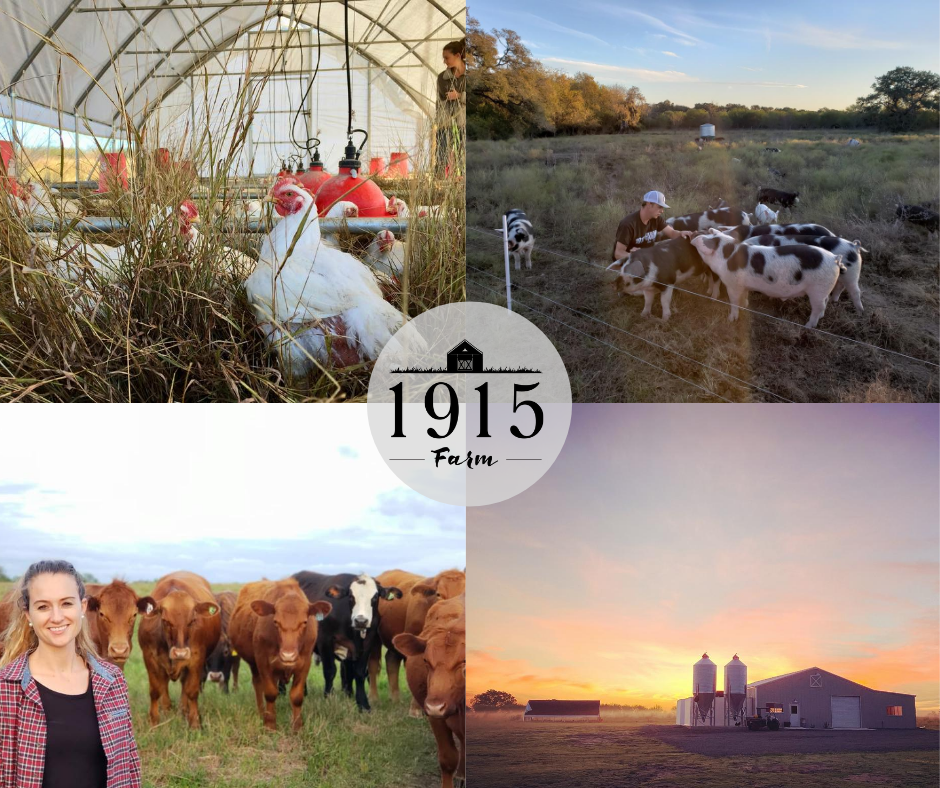 For the Grassfed Foodie - Grass fed Beef, Pork, Chicken Variety