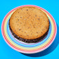 Mega Ice Cream Sandwich