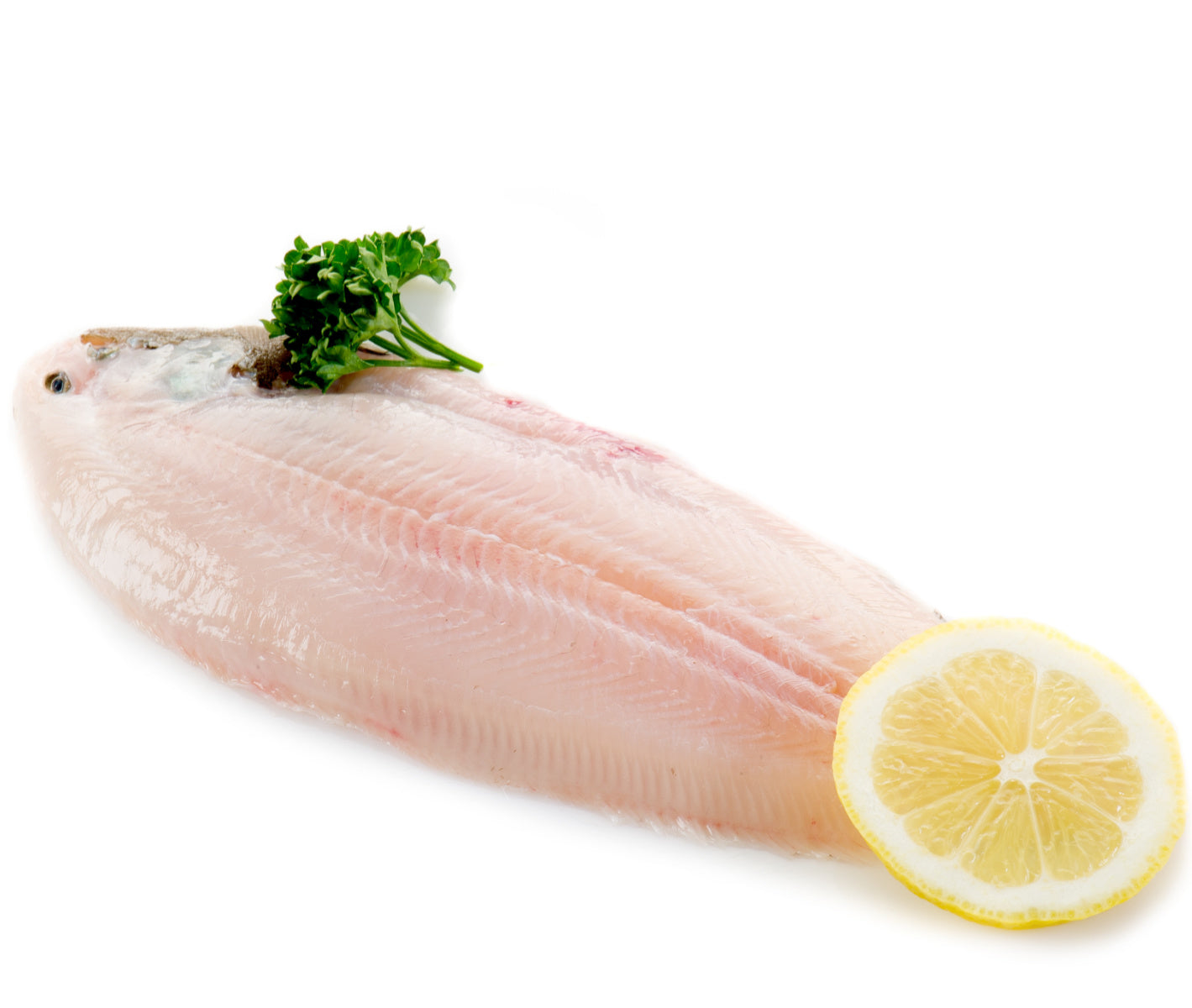 Grey Sole Fillet, Fresh, Wild Caught