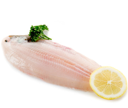 Grey Sole Fillet, Fresh, Wild Caught