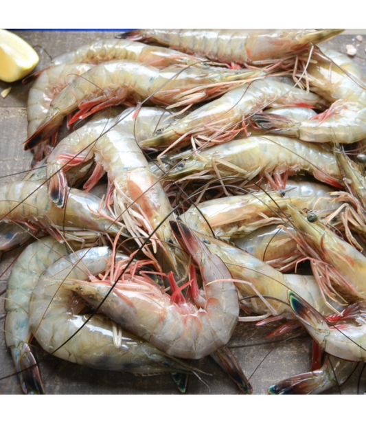 Wild Prawns, Head On, U-15 Ct. Chem Free