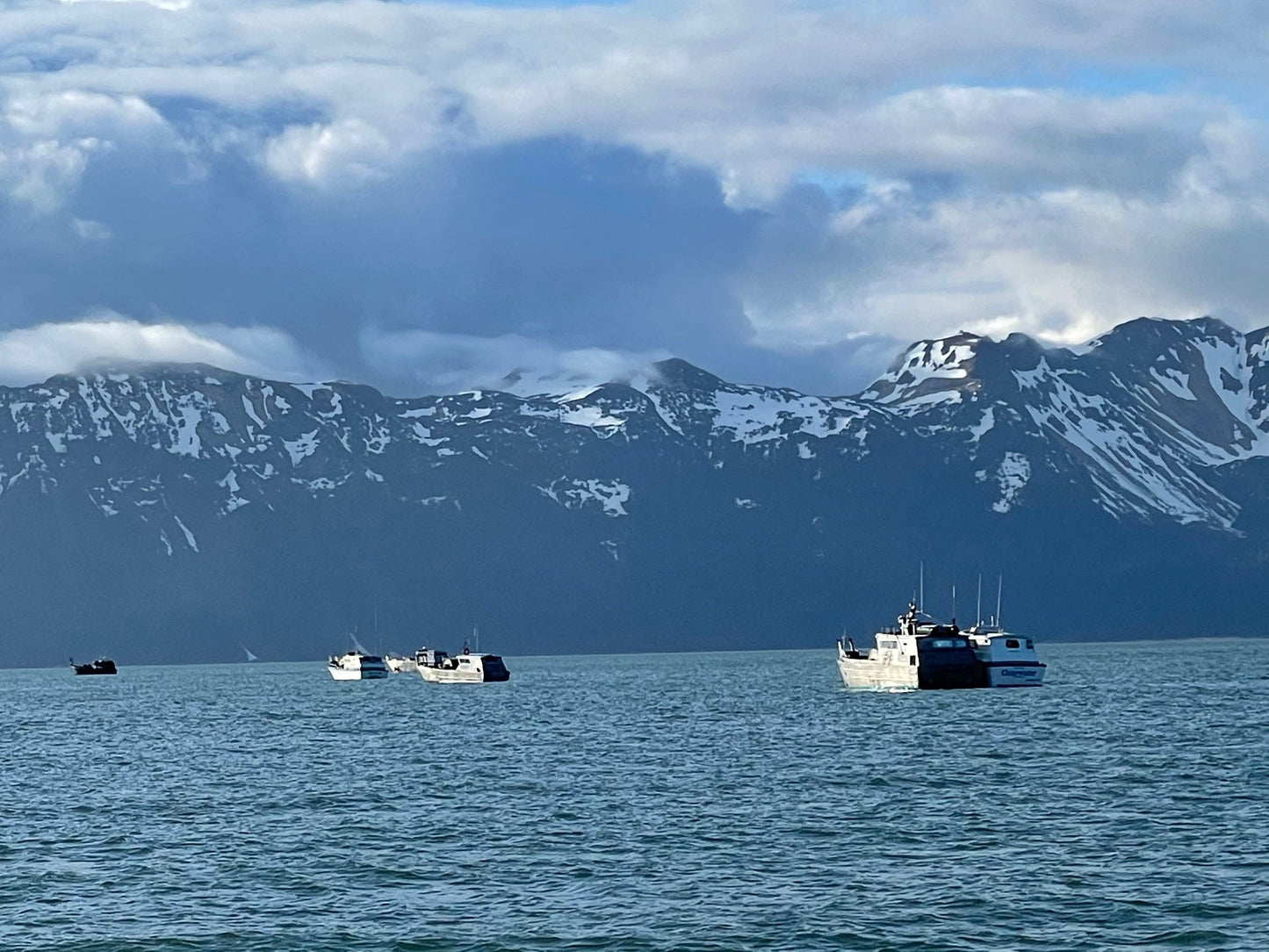 Copper River King Salmon Collars