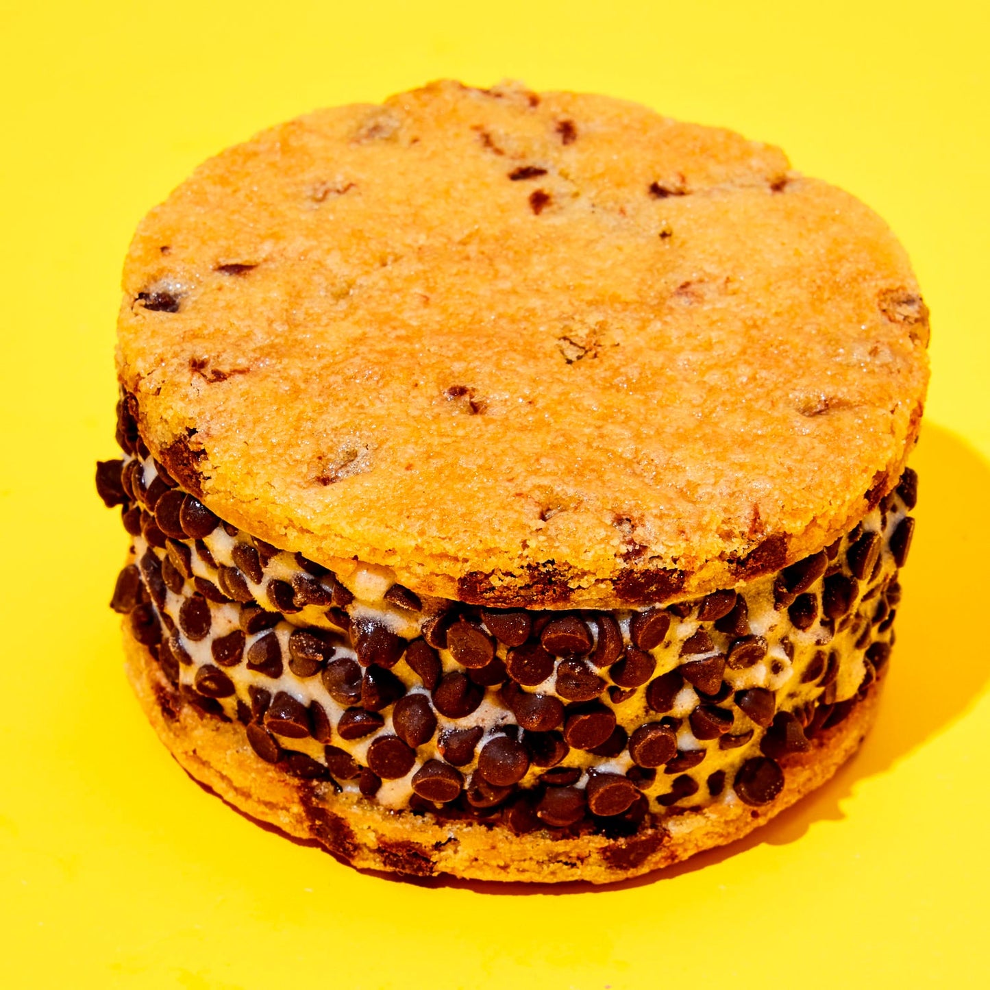 Ice Cream Sandwich- Pack of 3