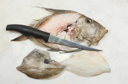 John Dory, Fillet, Wild Caught