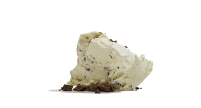 Edible Schoolyard Mint Chip Ice Cream Pint
