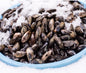 PEI Mussels,2lb