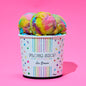 Ice Cream Pints