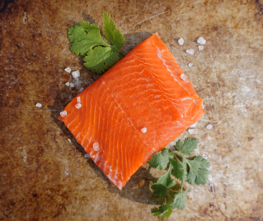 Sockeye Salmon