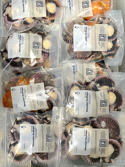 Peruvian Scallops Regeneratively Farmed (72 each)