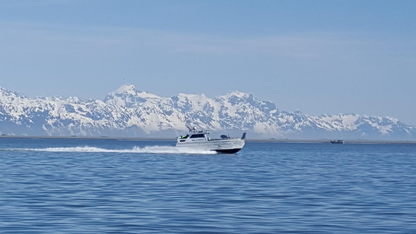 Copper River Sockeye Salmon