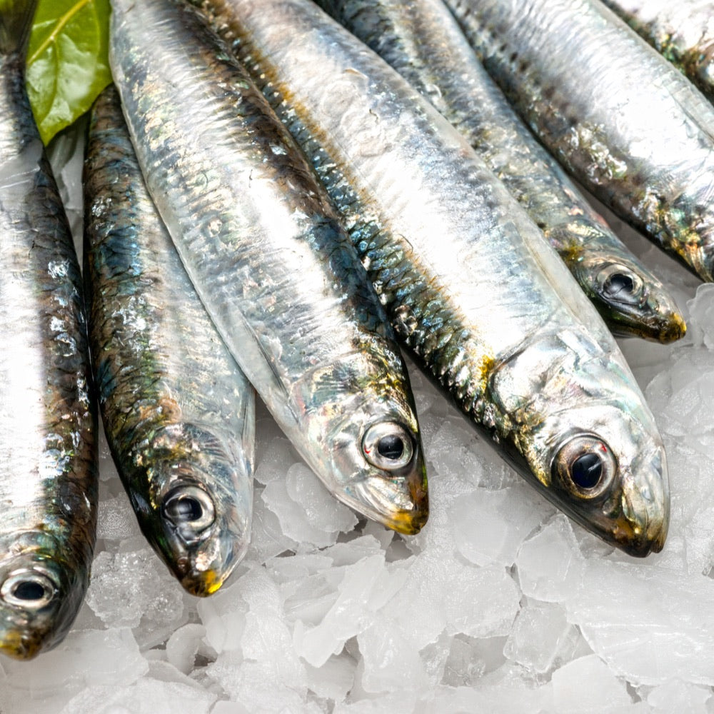 Sardines,Spanish Wild Whole