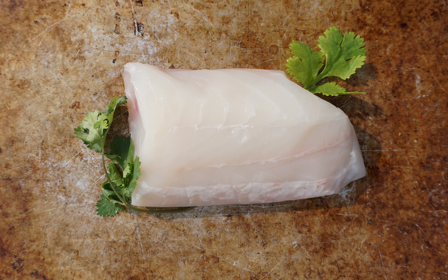 Seasonal Variety (salmon & white fish)