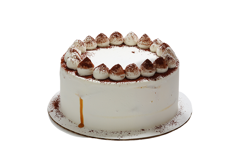 Tiramisu Ice Cream Cake