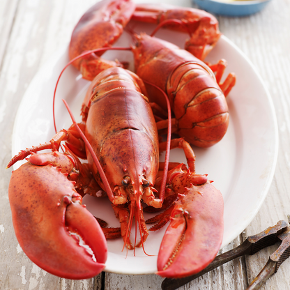 Cooked Maine Lobster (1 1/4 Pre-Cooked)