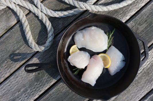 Halibut Cheeks