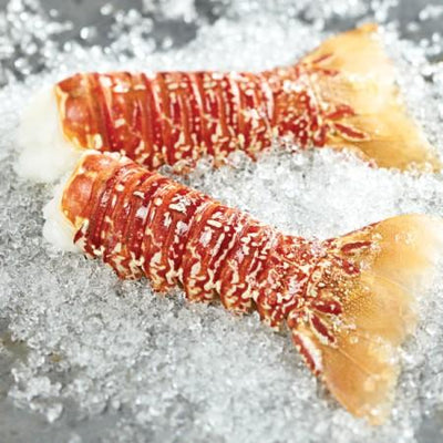 South African Lobster Tail (Large 8-10 oz), Cold Water Lobster Tails
