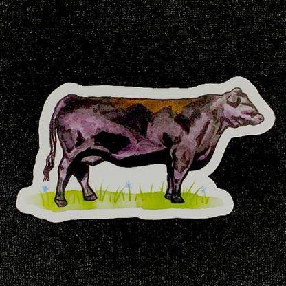 CALLISON RANCH BEEF STICKERS
