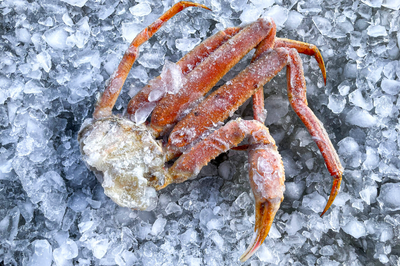 Alaskan Bairdi Snow Crab