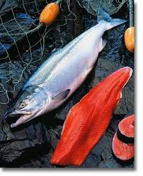 COPPER RIVER, Wild Sockeye Salmon, Whole Side  FRESH!