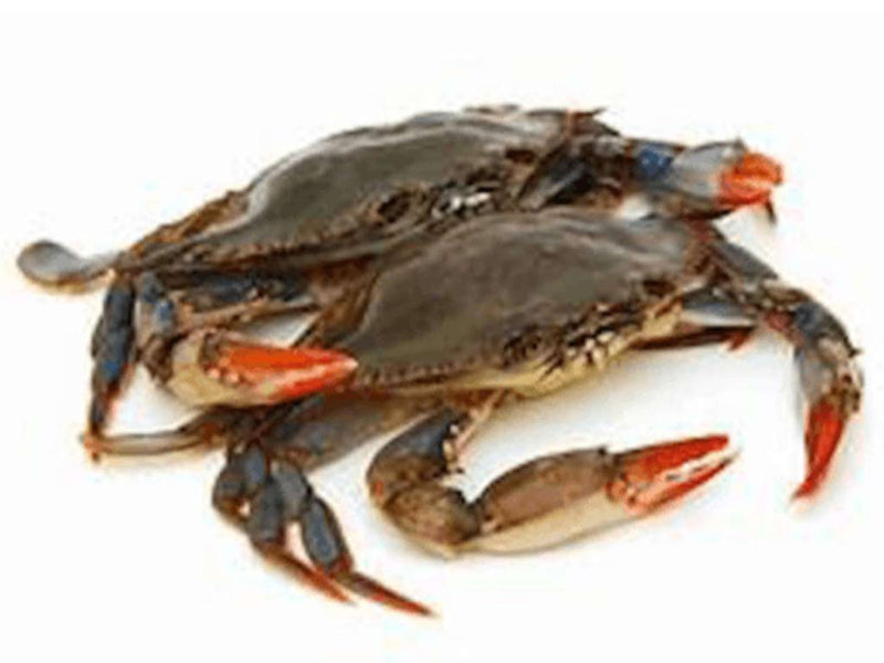 Maryland Soft Shell Crabs, Jumbo, Fresh, Cleaned,6pc