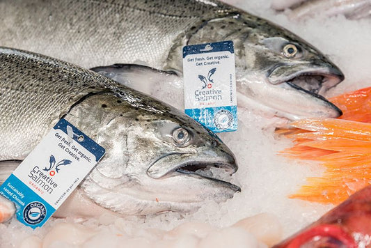 King Salmon, Whole, 7-8 LB Fish,  Sustainably Farmed, Pacific, Lions Gate Fisheries