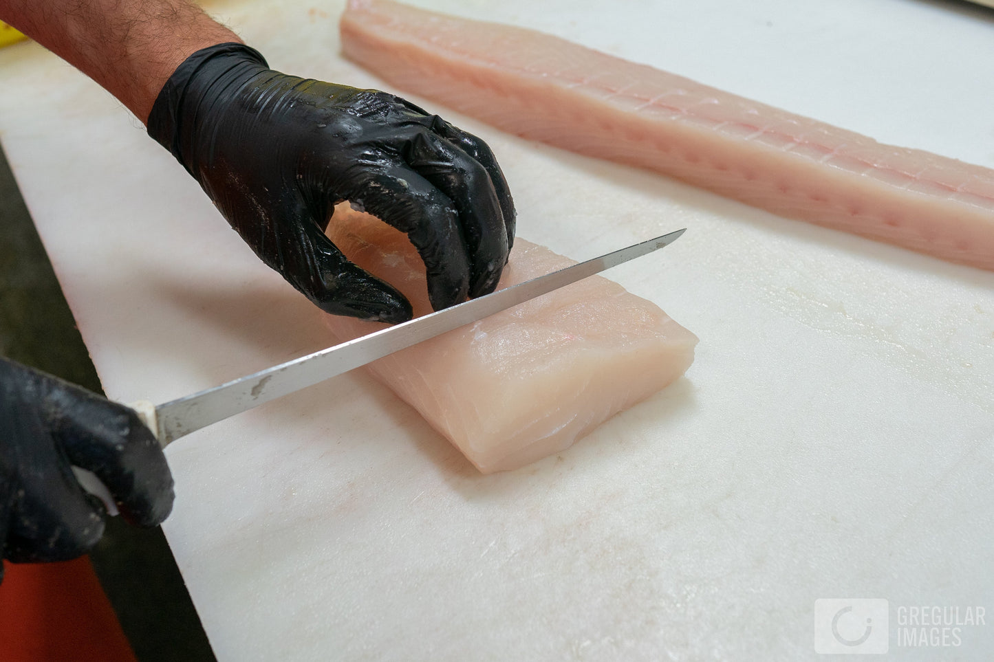 Halibut