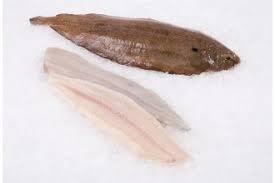 Grey Sole Fillet, Fresh, Wild Caught