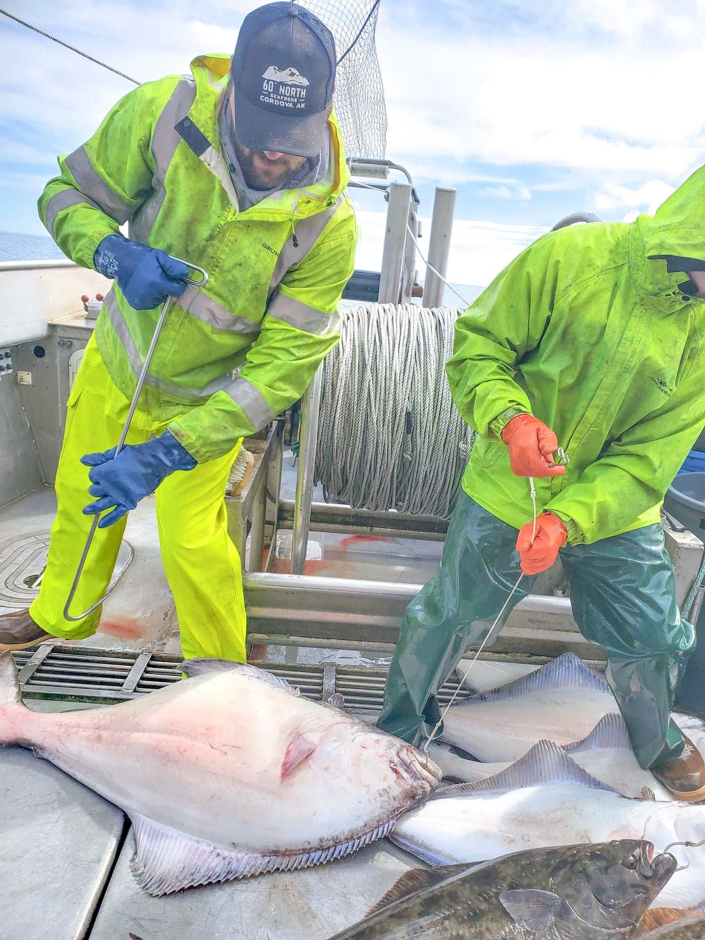 Halibut