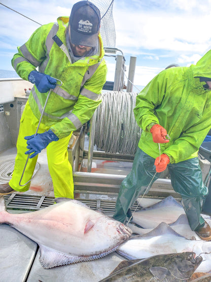 Halibut