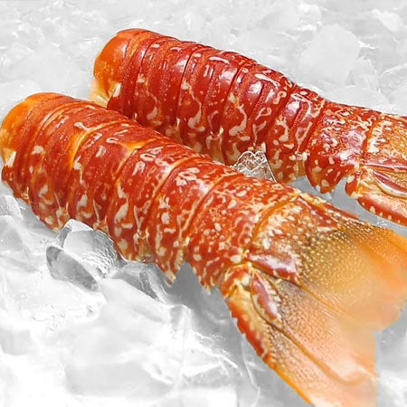 South African Lobster Tail (Large 8-10 oz), Cold Water Lobster Tails