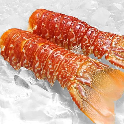 South African Lobster Tail (Large 8-10 oz), Cold Water Lobster Tails